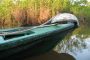 Amazonas06 - 248
